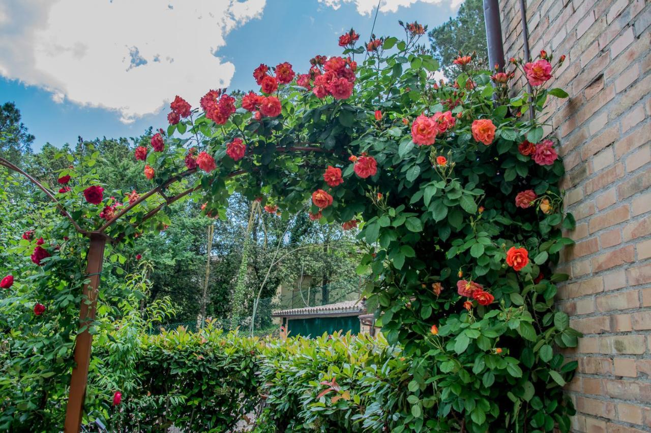 I Due Cipressi Guest House Torrenieri Екстериор снимка